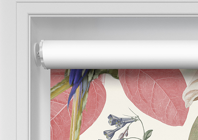 Parakeet, Fruit Punch - Twist&Fit Roller Blind - Image 10